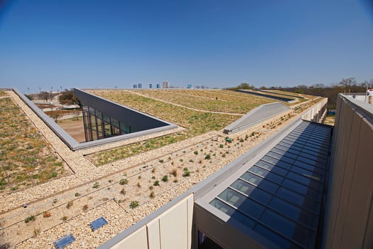 Botanical garden on a rooftop 