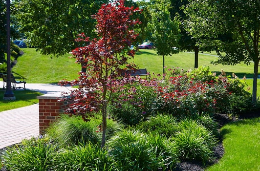 Northampton Community College Garden